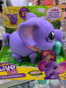 Elefante little live pets