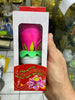 Candela de Loto