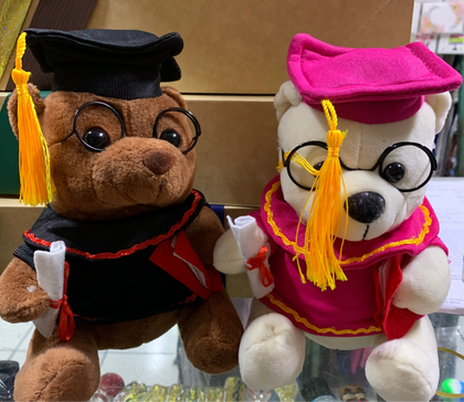 Peluche graduación pequeño