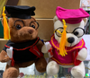 Peluche graduación pequeño