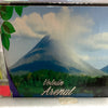 Taza Costa Rica volcán Arenal
